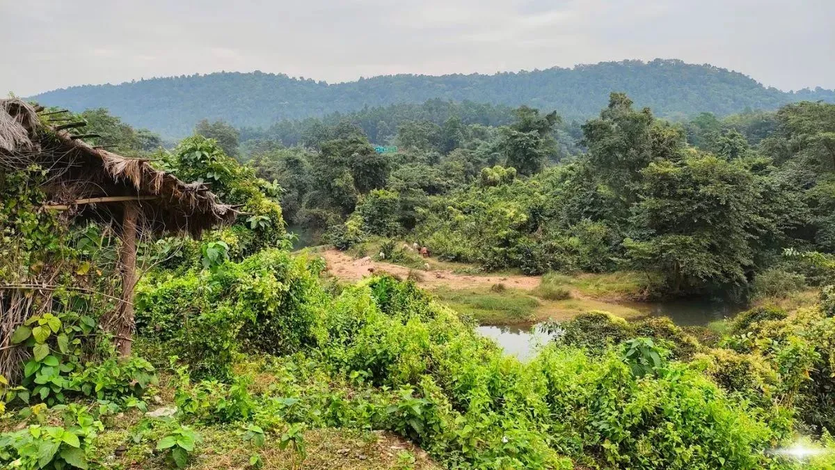 झारखंड सरकार का अहम निर्णय: वन क्षेत्रों में डीप बोरिंग पर प्रतिबंध, नदी-तालाब से जल उपयोग पर भी सख्ती