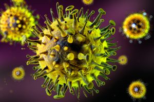 निपाह वायरस के खतरे के बीच झारखंड में हाई अलर्ट: सदर और रिम्स अस्पताल में 42 आइसोलेशन बेड तैयार